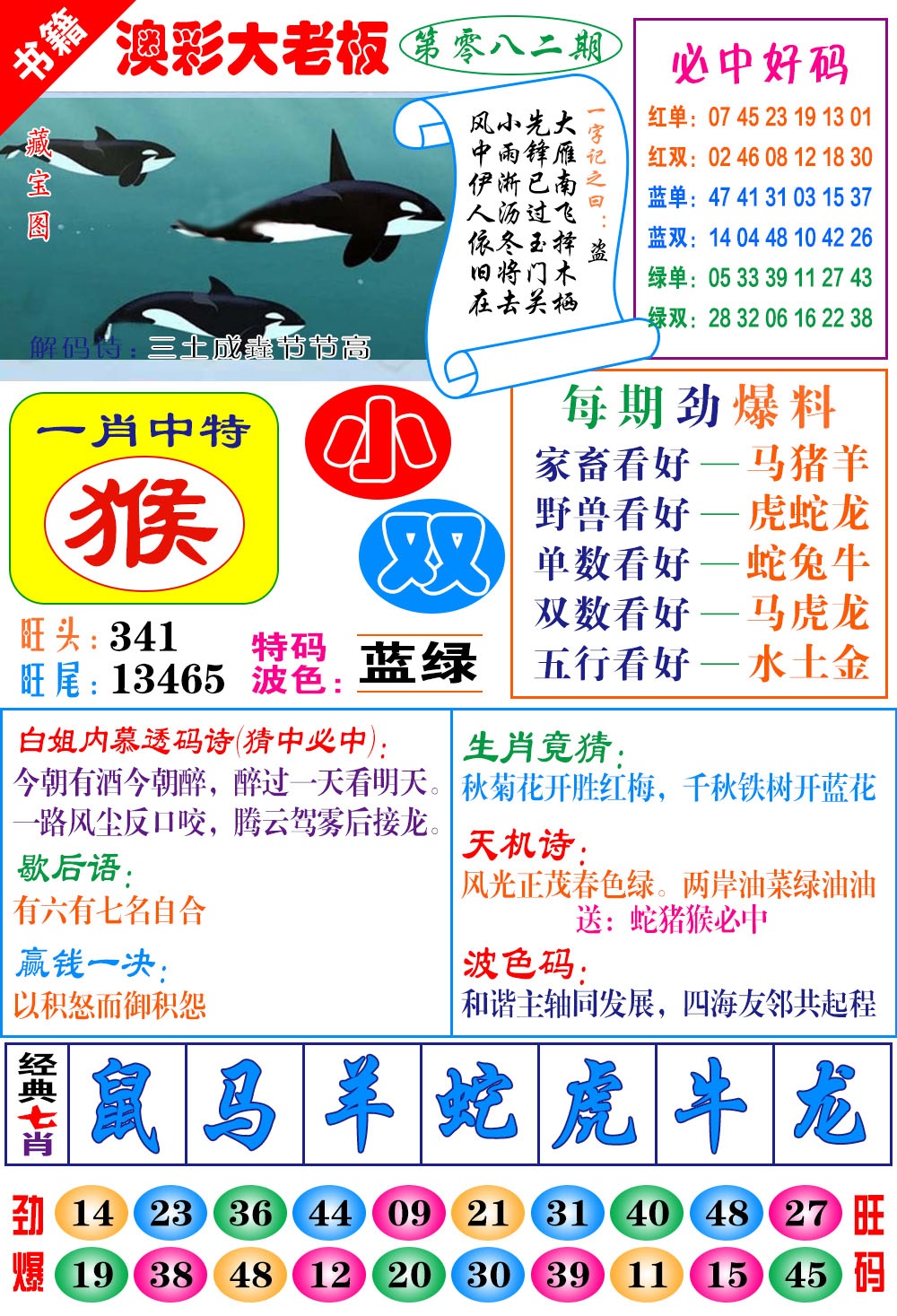 082期澳门大老板[图]